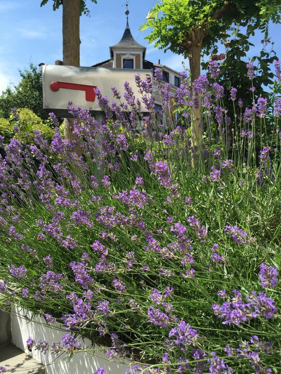 Garten86